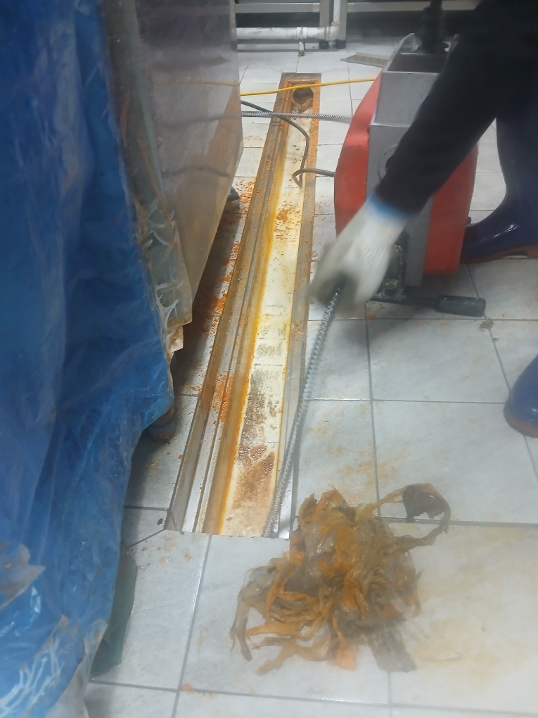 6a481195809fe7.95176318.png