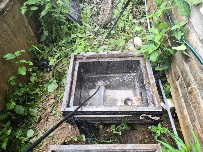 제주애월하수구막힘 빌라 1층 공용하수구막힘 고압세척 제주애월하수구막힘 빌라 1층 공용하수구막힘 고압세척