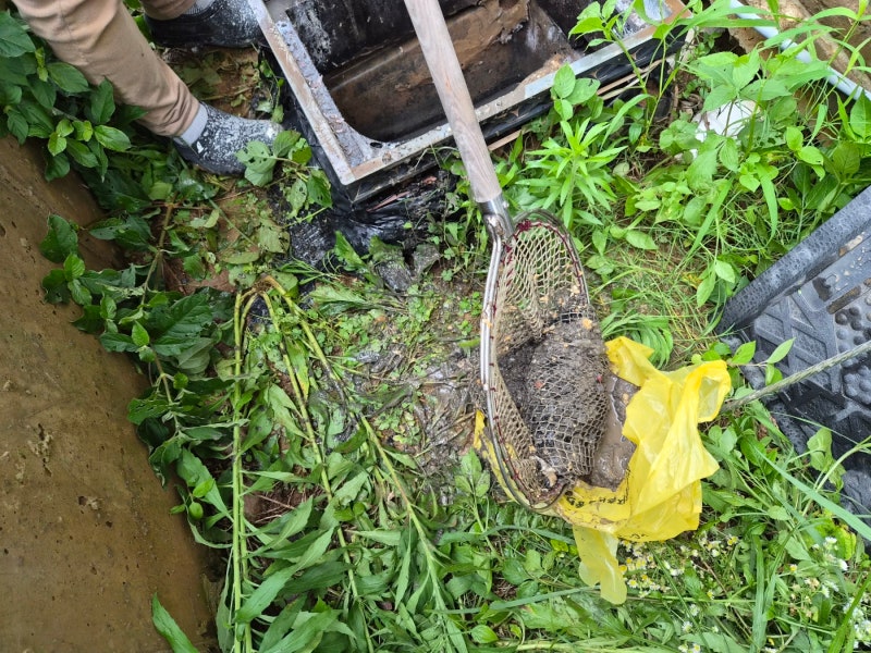 제주애월하수구막힘 빌라 1층 공용하수구막힘 고압세척 제주애월하수구막힘 빌라 1층 공용하수구막힘 고압세척