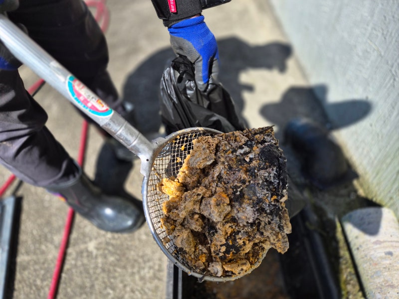 제주시 아라동 이도이동 봉개동 하수구막힘 빌라 공용배관 집수정 맨홀막힘 싹 뚤어드립니다 제주시 아라동 이도이동 봉개동 하수구막힘 빌라 공용배관 집수정 맨홀막힘 싹 뚤어드립니다